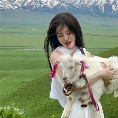 探索发现秘境追踪第五季